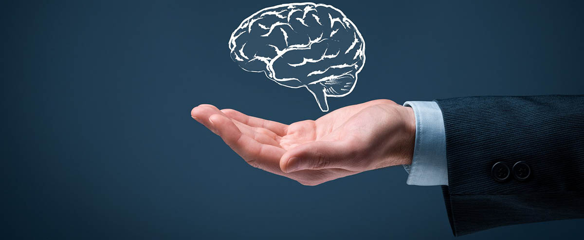 Как во Владимире устроен бизнес на интеллектуальных играх