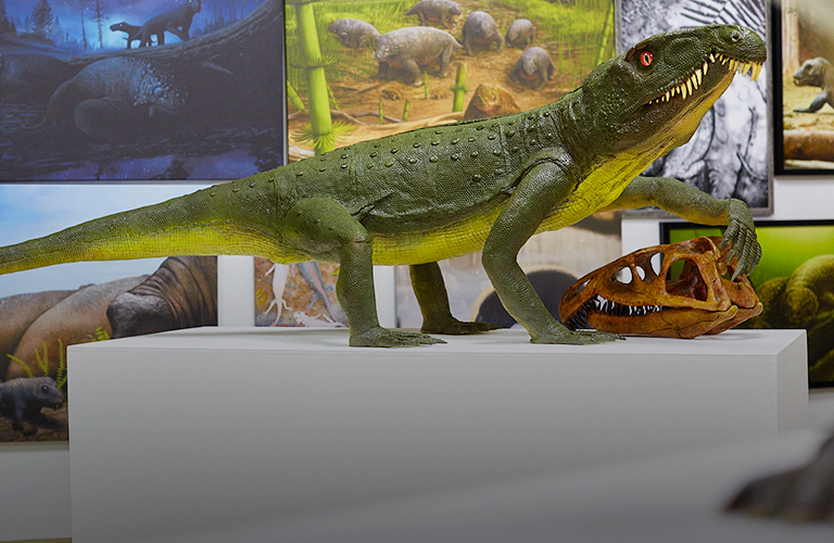 В начале времен: древнейшие хищники и редкие насекомые в частном музее коллекционера