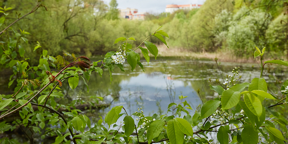 «Владимир — город ста прудов». Инспектируем самые популярные водоемы областного центра