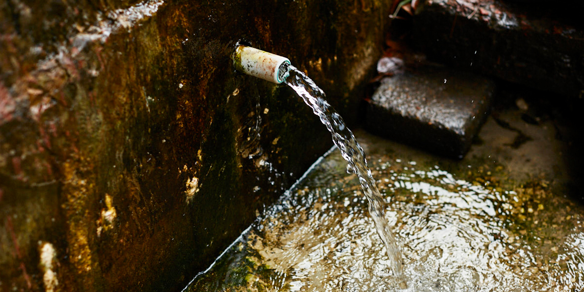 Пить или нет? Исследование воды во владимирских родниках ответило на важный вопрос