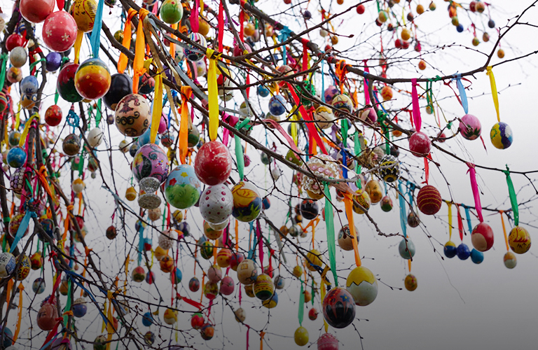 Антон Макарский и Федор Конюхов помогут расцвести владимирскому пасхальному дереву