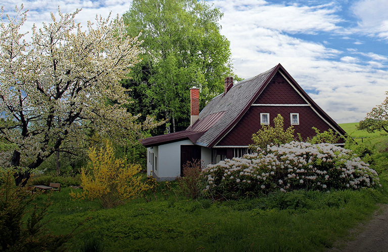 Жительница Струнино, выигравшая в лотерею загородный дом, взяла приз деньгами