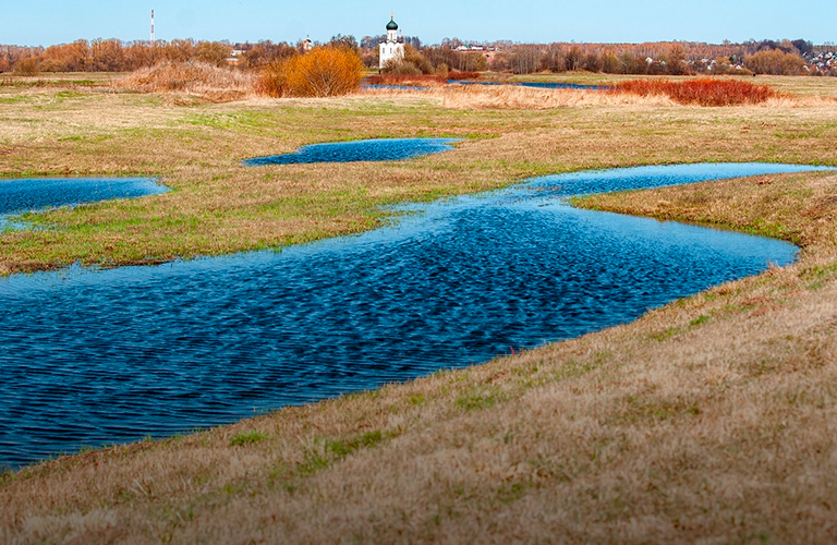Неожиданные лоты! В 33-м регионе продают часть Боголюбовского луга и воздушный корабль