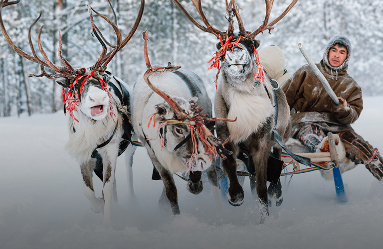 Упряжка северных оленей принесла первое место фотографу из Владимирской области