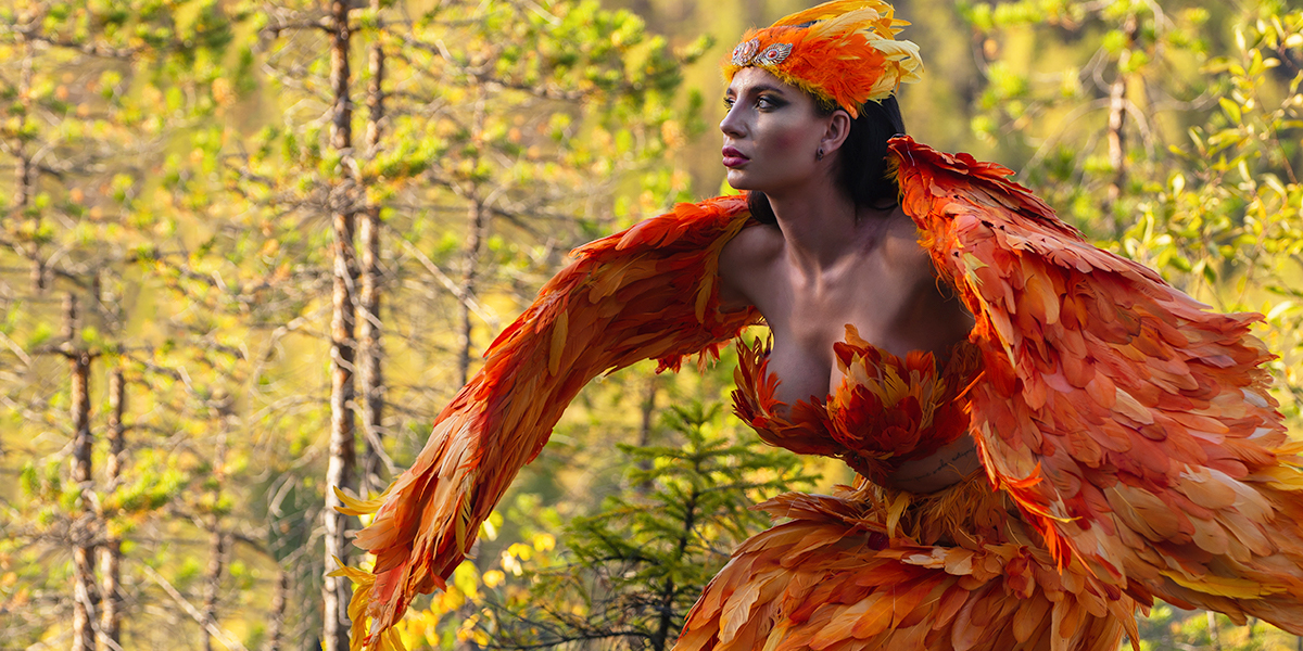 Костюм из хрупких перьев и опасные скалы. В Дюкинский заказник прилетела птица феникс