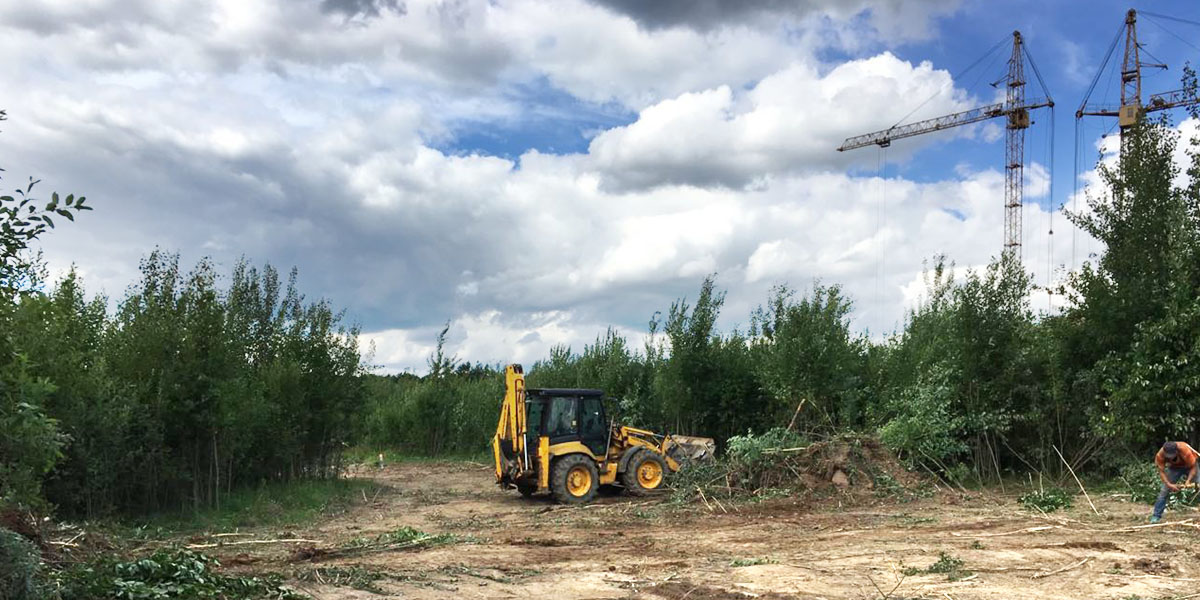 Операция #CпасемДружбу на грани срыва: Возле парка вырубили просеку