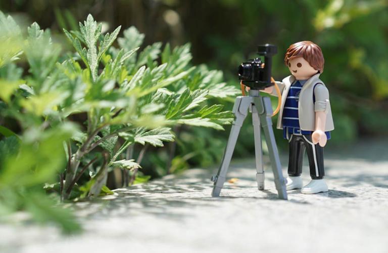 Владимирцев приглашают на съемки программы «Звездомания»