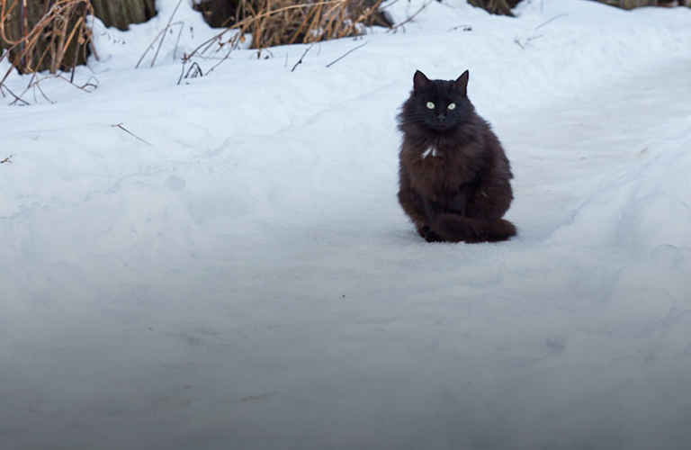 Владимир суеверный: какие приметы и поверья существуют в 33-м регионе?