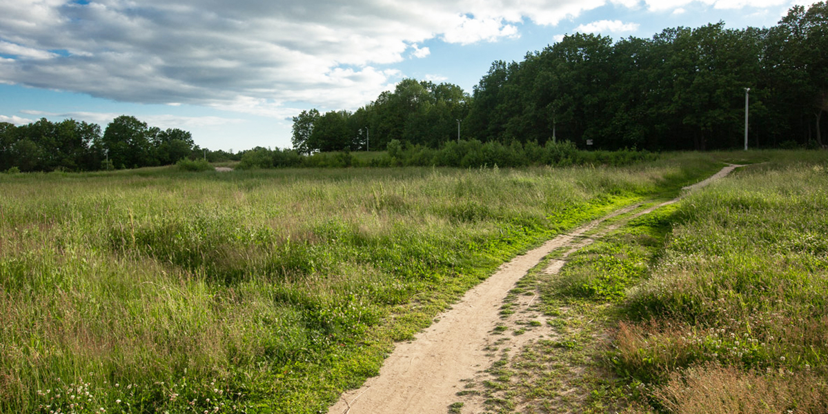 В лесопарке «Дружба» открыта всесезонная экотропа с QR-кодами