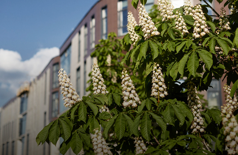 После арктического нашествия в 33-м регионе грядет долгожданное потепление