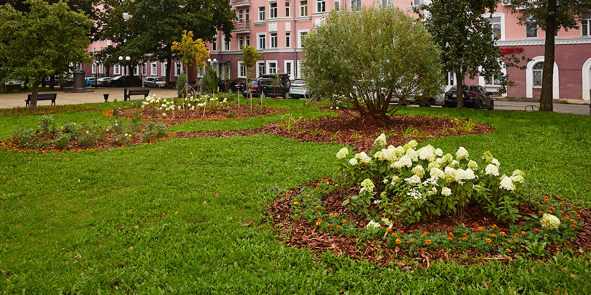 В Андриановском сквере появились клумбы-медали, а зону отдыха в Юрьевце озеленили
