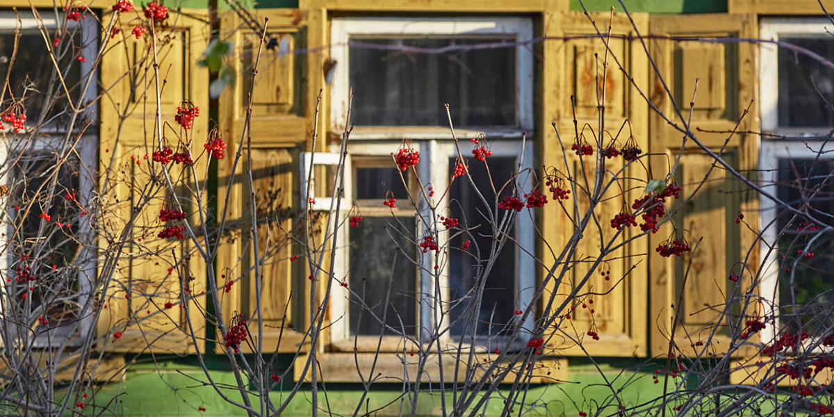 «Я влюбилась в эти окна». Художница из Перми выпустила открытки с владимирскими наличниками