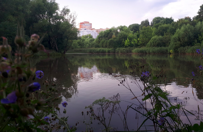 7 вопросов о реках и мостах Владимира