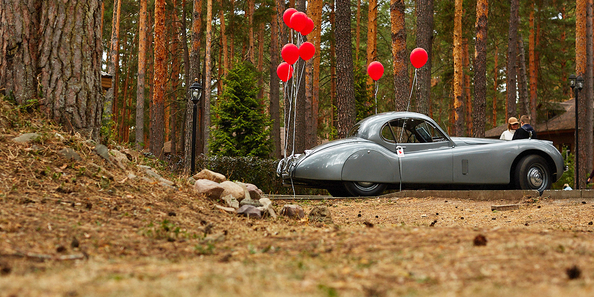 Это рекорд! Пятый фестиваль «Ретро-Гараж» собрал более 250 ретроавтомобилей