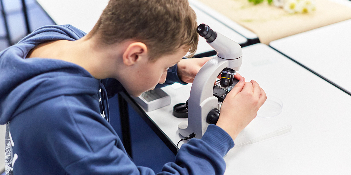 На что потратит полмиллиона рублей лучшая владимирская школа 2023 года?