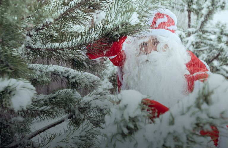 На открытие праздника «Суздаль — новогодняя столица» приедет Дед Мороз из Великого Устюга