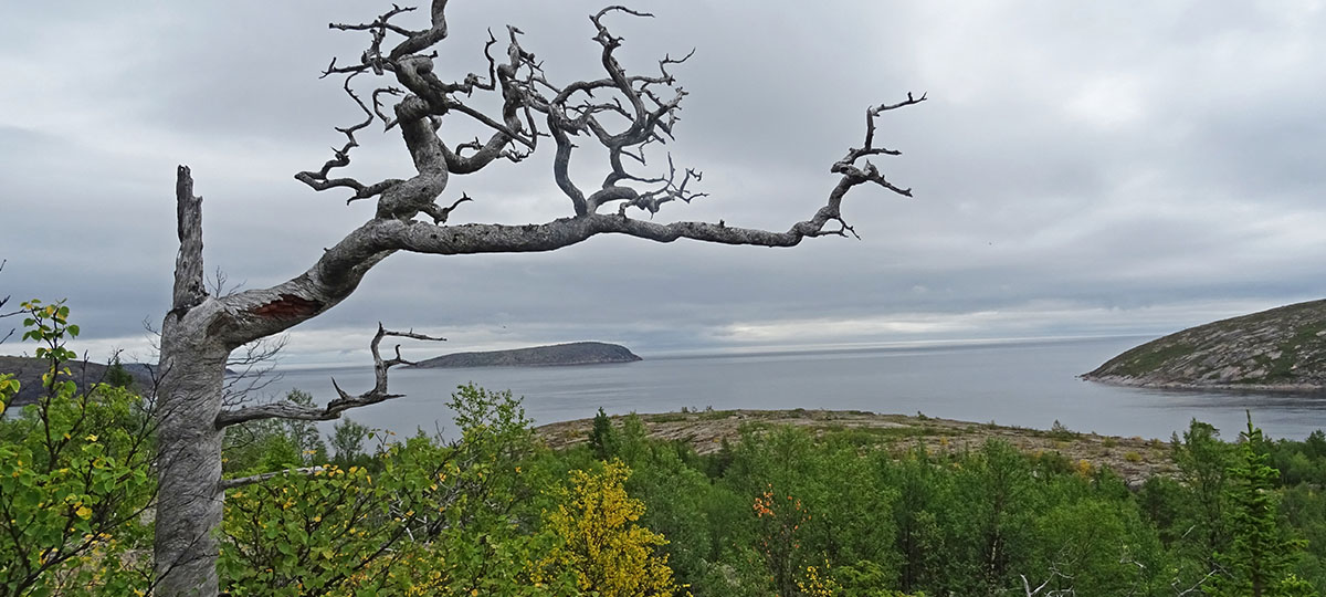 Владимирские яхтсмены месяц провели в Северном Ледовитом океане