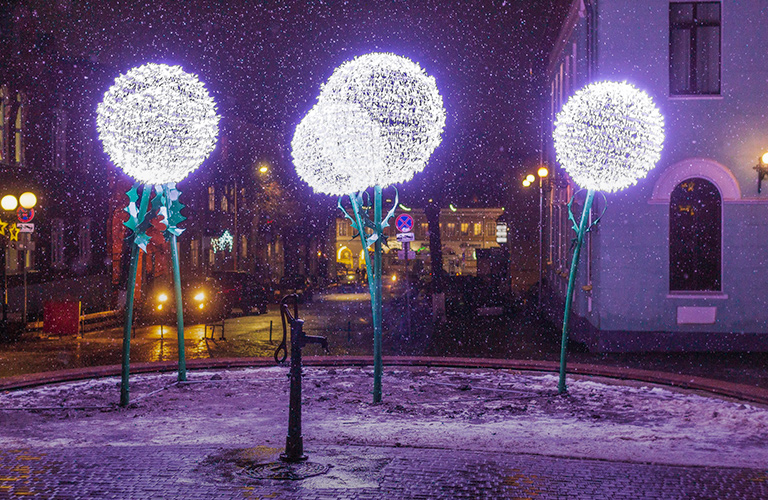 Одуванчики на Георгиевской и другая новогодняя красота!