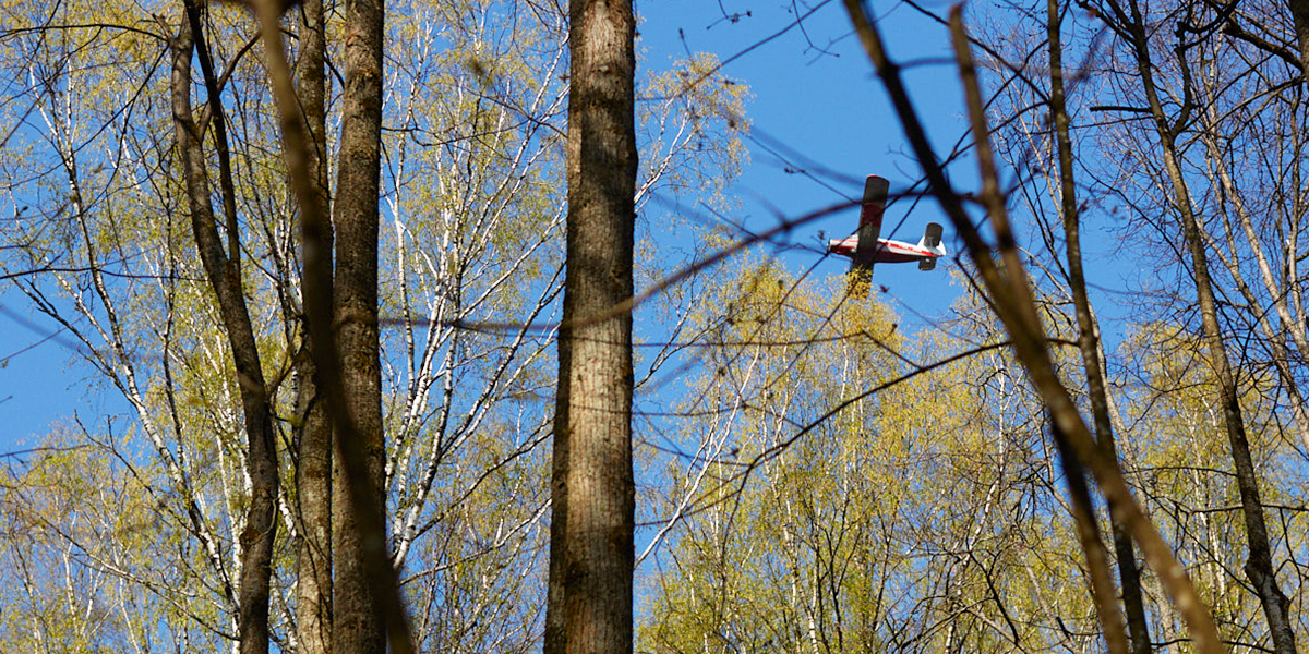 Новые самолеты, взлетно-посадочная полоса и не только: как преобразят аэропорт «Семязино»