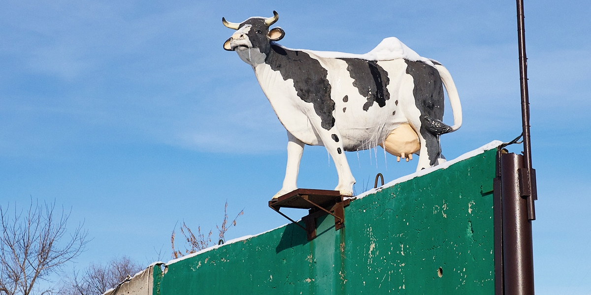 Кот Баюн, симпатяга бобр и корова на заборе: рукотворный «Зверополис» на улицах Владимира