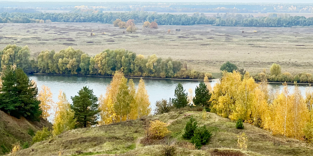 «Страна березового ситца»: неторопливая прогулка по родной земле Сергея Есенина