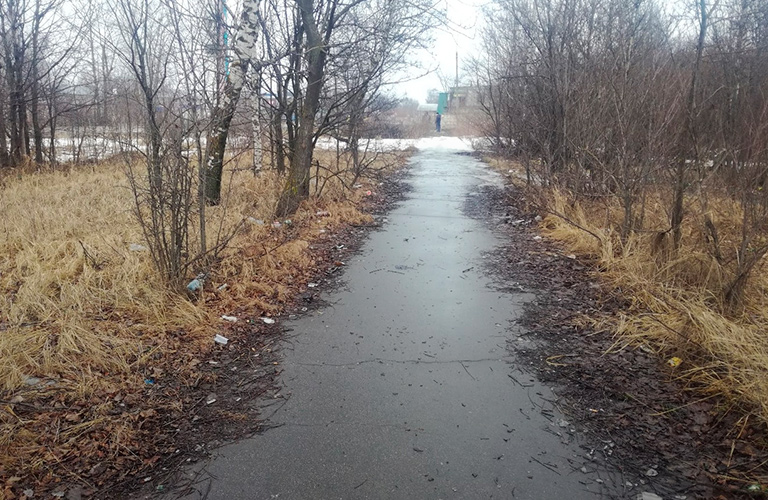 Проблемы «Дружбы», «Зеленый щит» и вязниковские вишни