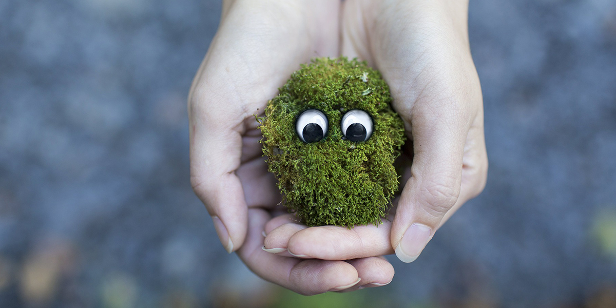 Продуктовый челлендж: в муромской школе прошел первый урок экологики