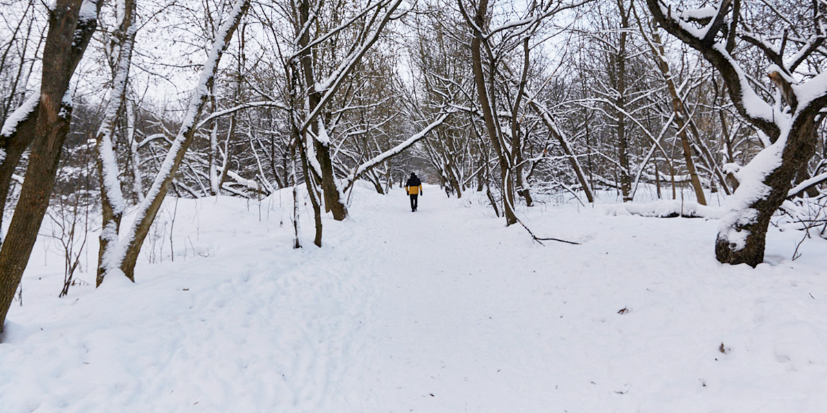 Благоустройство старых садов на улице Мира начнут со строительства дороги