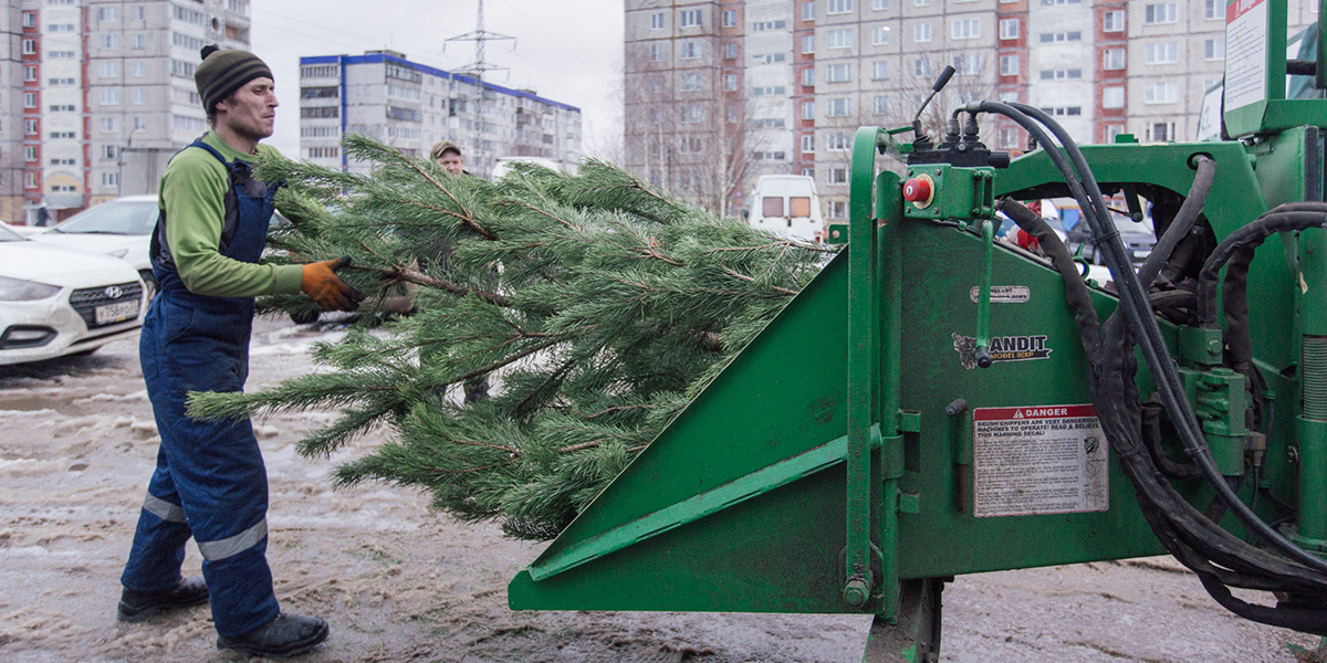 Ёлку - в щепки! Во Владимире появился новый сервис