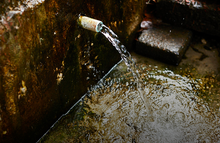 Выходим на чистую воду! 5 вопросов о родниках 33-го региона