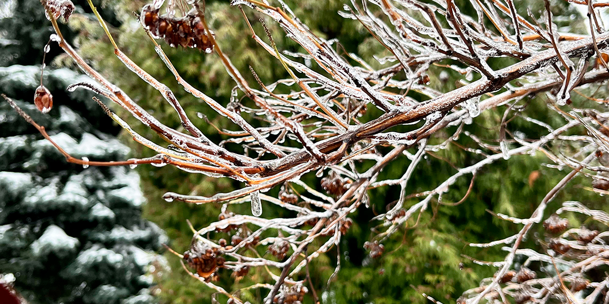 Продолжатся ли в 33-м регионе ледяные дожди?