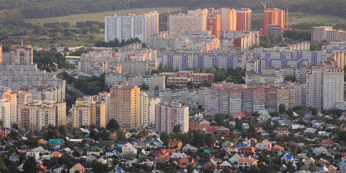Снять квартиру во Владимире, или Чем мужчины похожи на животных