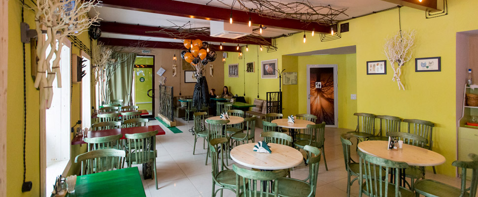 Новое место во Владимире:^ «Мятная Сова»