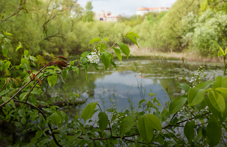 Водное зеркало прудов на Мира увеличат в три раза, а Вокзальную площадь превратят в рай для туристов