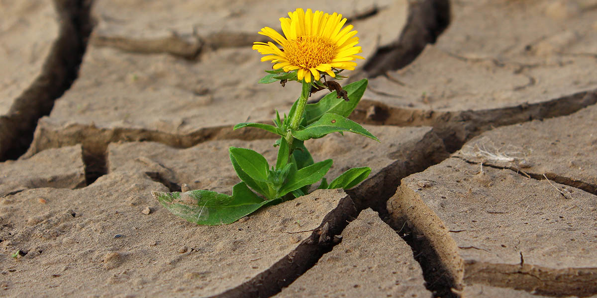 Стоит ли ждать аномальной жары на этой неделе, и каким будет лето?
