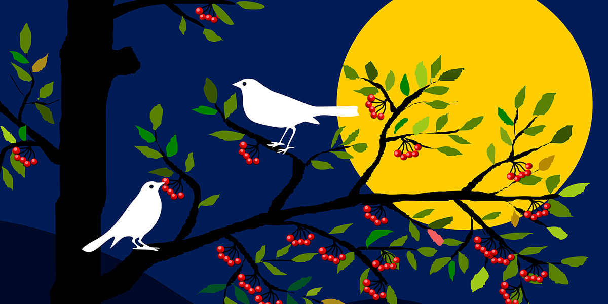 Поиграем в орнитологов: узнайте птиц по голосам!