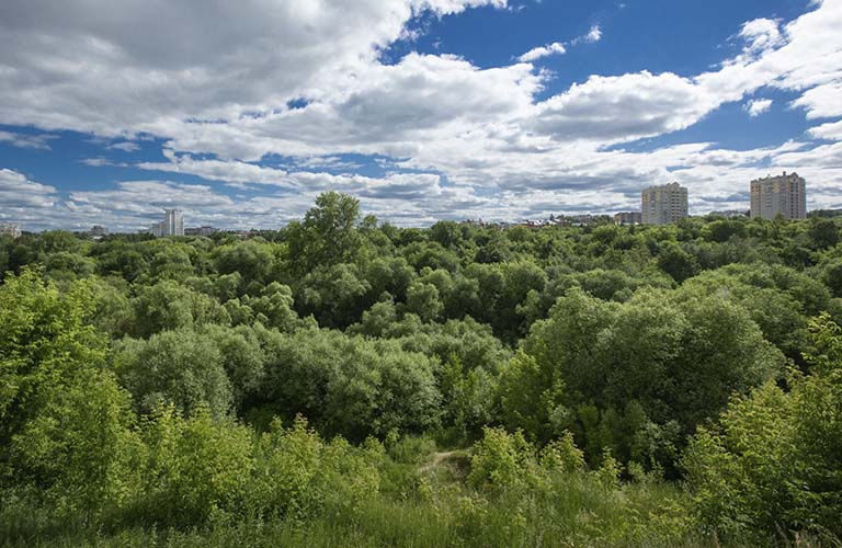 К концепции парка у ДТЮ за 3,9 млн рублей приложат руку горожане 