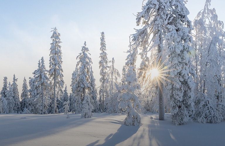 Синоптики предупреждают: в феврале морозы будут похлеще крещенских