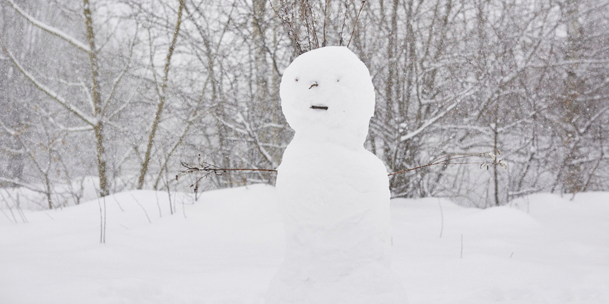 Не классический январь. Синоптики предрекают в регионе дикий погодный микс