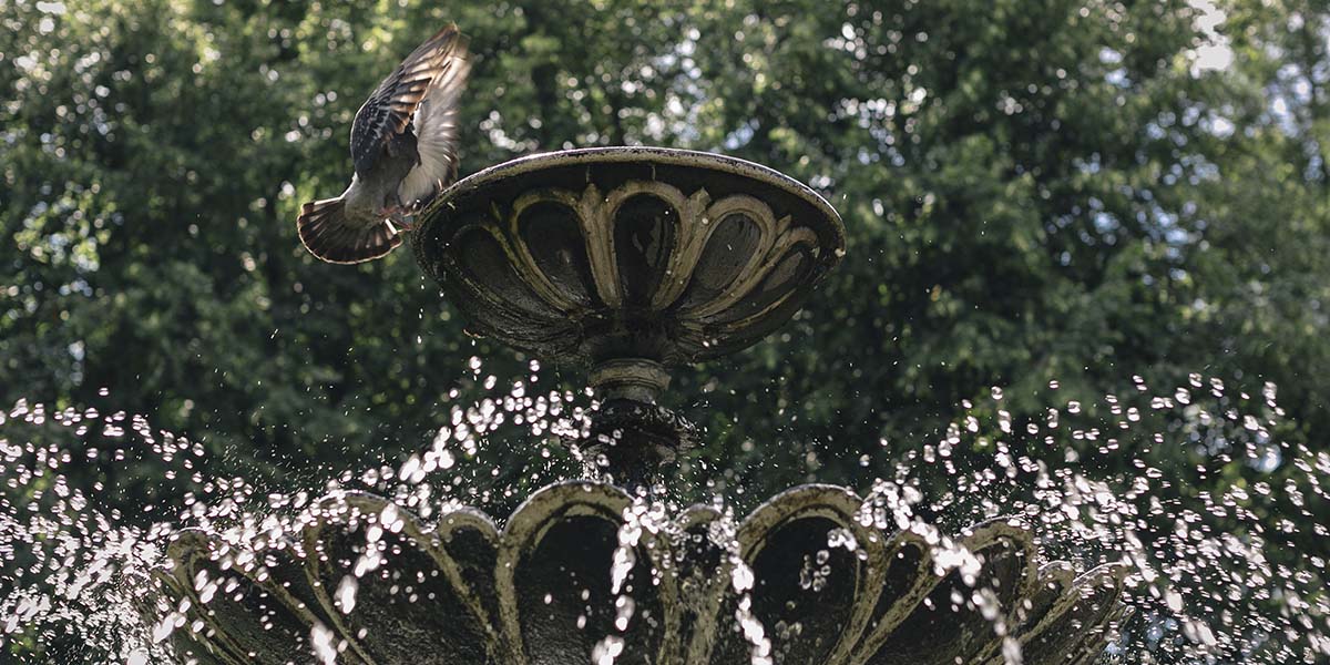 Городским фонтанам: бить или не бить?
