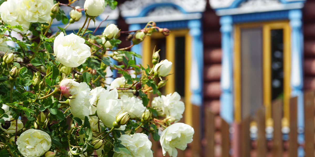 Ютуб-туториал о том, как возродить усадьбу под Камешково 