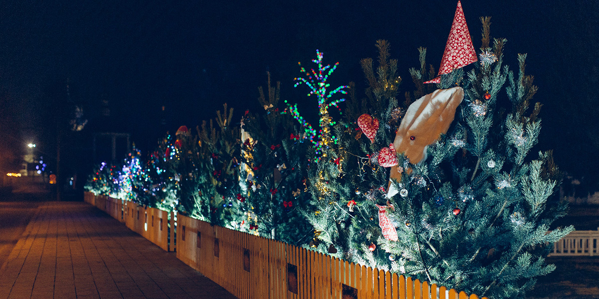 Самые креативные ёлки Суздаля и Мурома