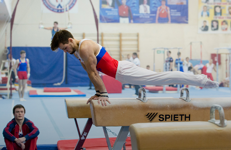 Властелин колец и укротитель коня. Как строят карьеру владимирские гимнасты