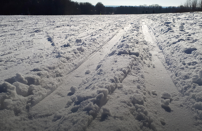 Что ждет лыжероллерную трассу в парке «Дружба»?
