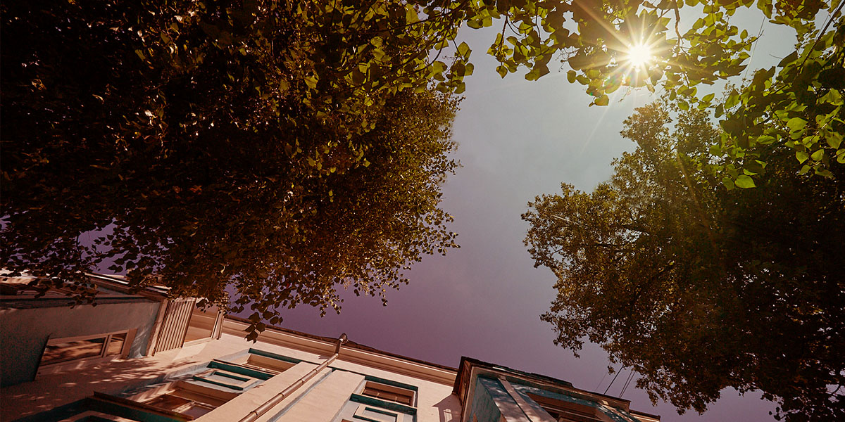 Несколько горячих деньков в середине августа. Погода в регионе опять берет курс на жару