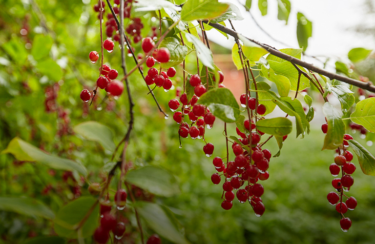 Время для книг и какао. Август в 33-м регионе на время включит осенний режим