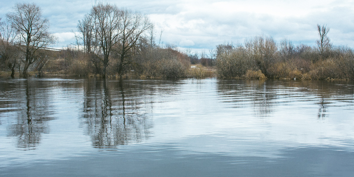 Где в Гороховце прятались от «большой воды» и какой город региона считался местной Венецией?