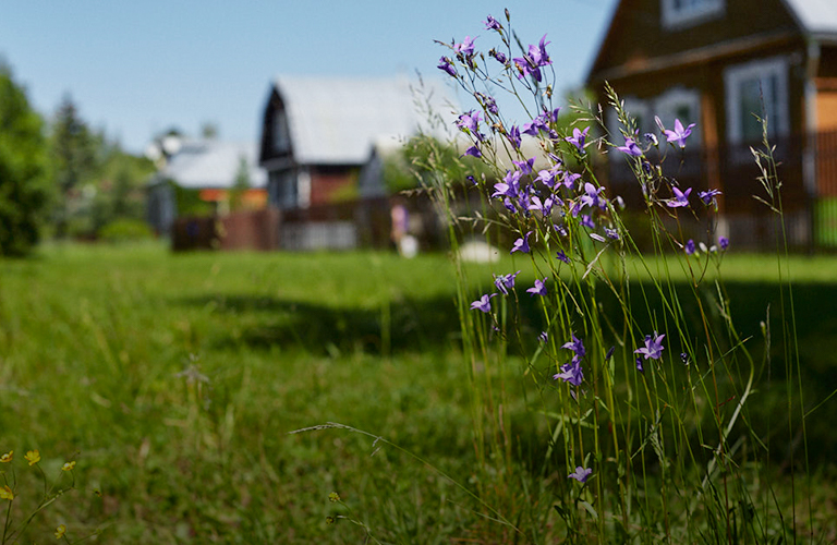 300 тысяч за красоту: каким населенным пунктам достался Гран-при областного конкурса?
