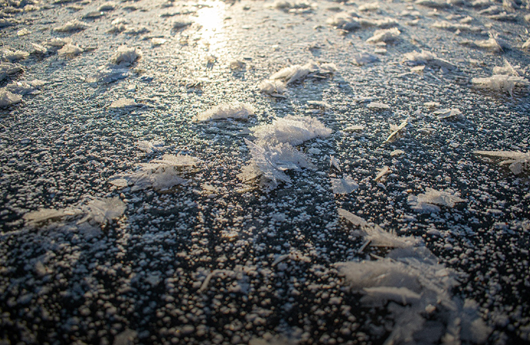 Волшебная картина. Почему на водоёмах области распустились «ледяные цветы»?