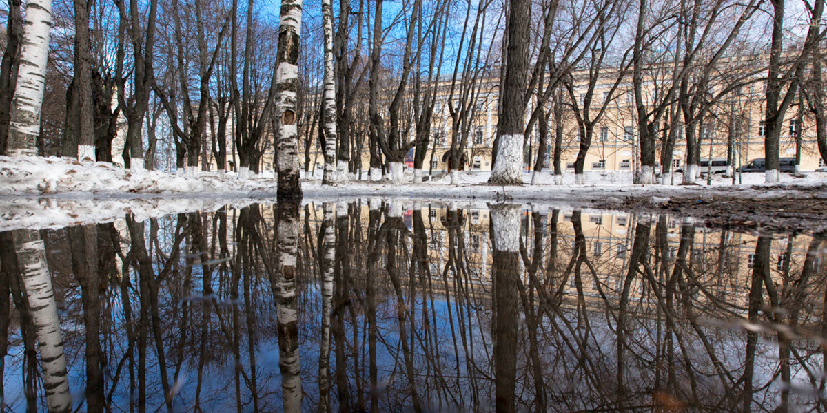 Лужи, ящерки, цветы: в объективе – весенний 33-й регион